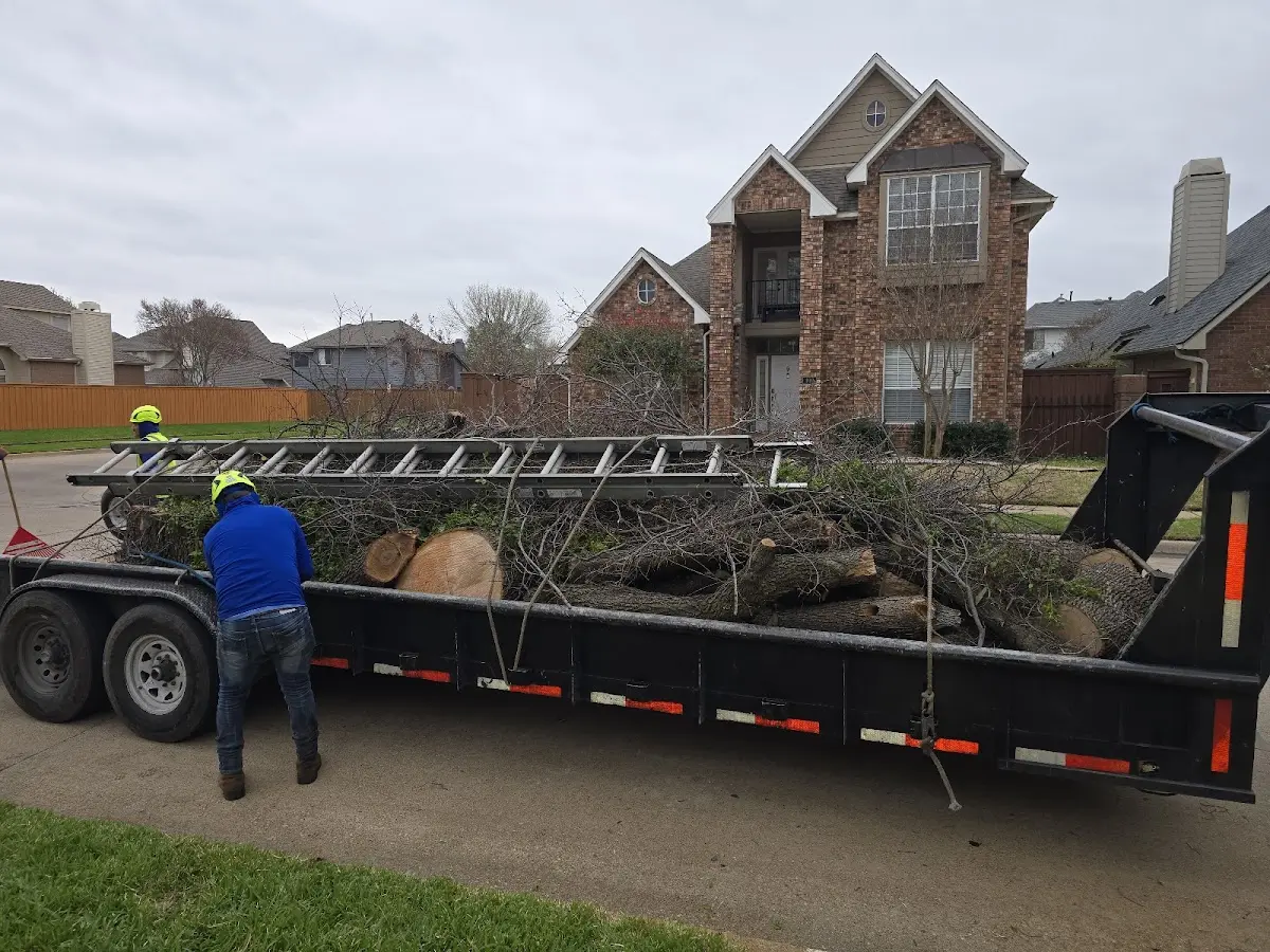 Expert Lot Clearing with proper safety equipment in Commodore